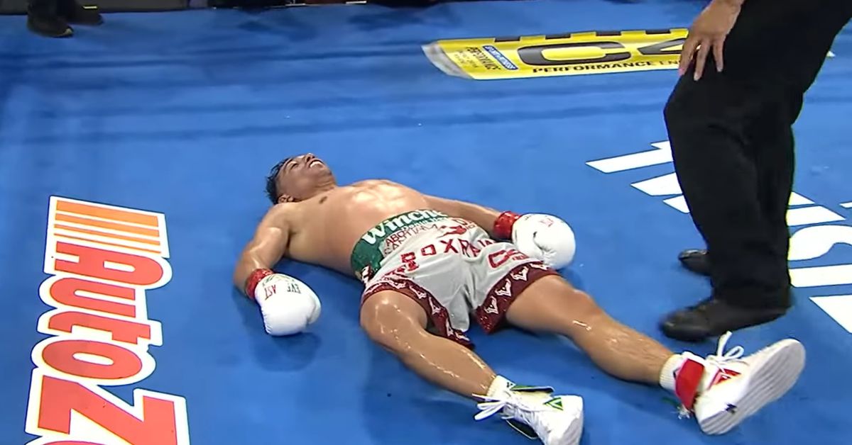 Watch Angelo Leo knockout punch absolutely flatten Venado Lopez